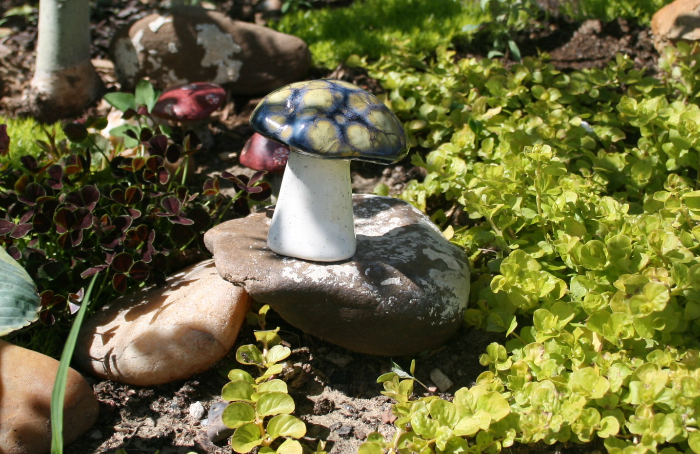 Toadstool